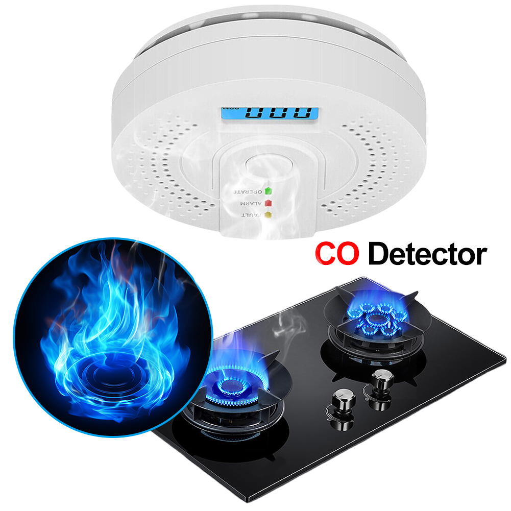 Digital Carbon Monoxide Detect - Smoke Leak Detector recension och pris