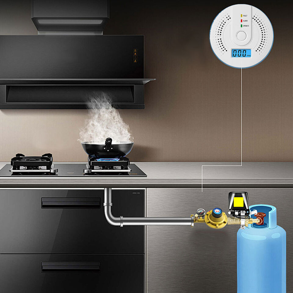 Digital Carbon Monoxide Detect - Smoke Leak Detector recension och pris