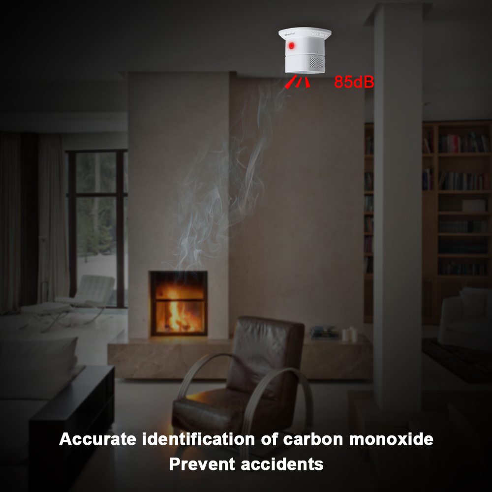 HEIMAN Zigbee Carbon monoxide  - Smoke Leak Detector recension och pris