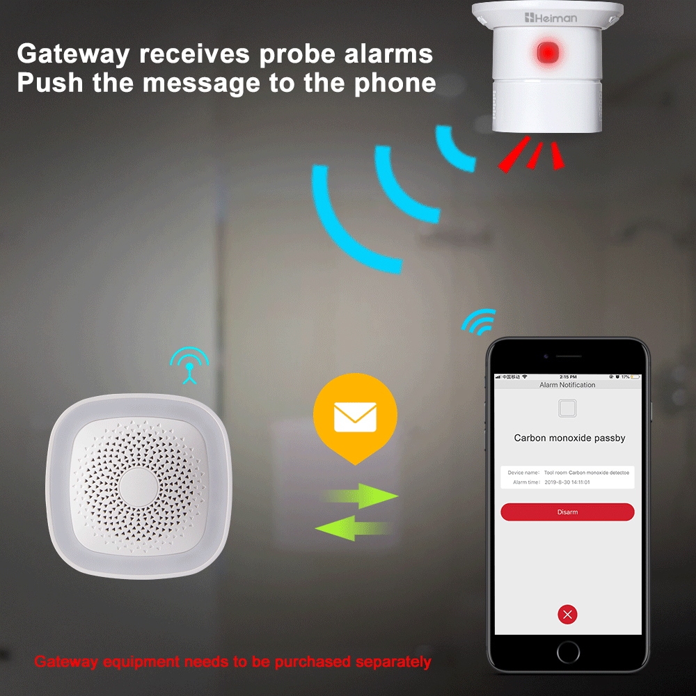 HEIMAN Zigbee Carbon monoxide  - Smoke Leak Detector recension och pris