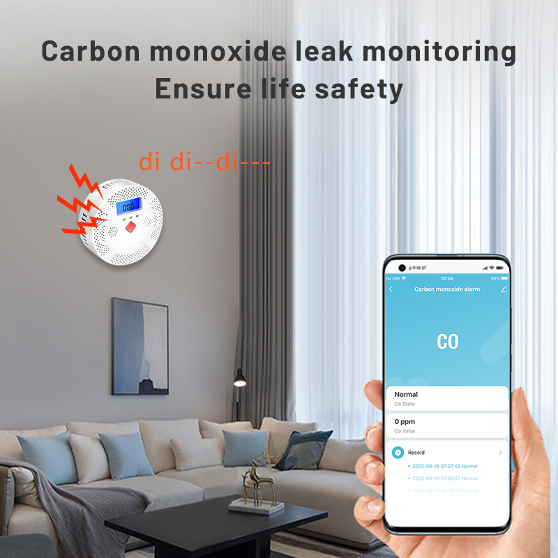 Tuya WiFi Smart Carbon Monoxid - Smoke Leak Detector recension och pris